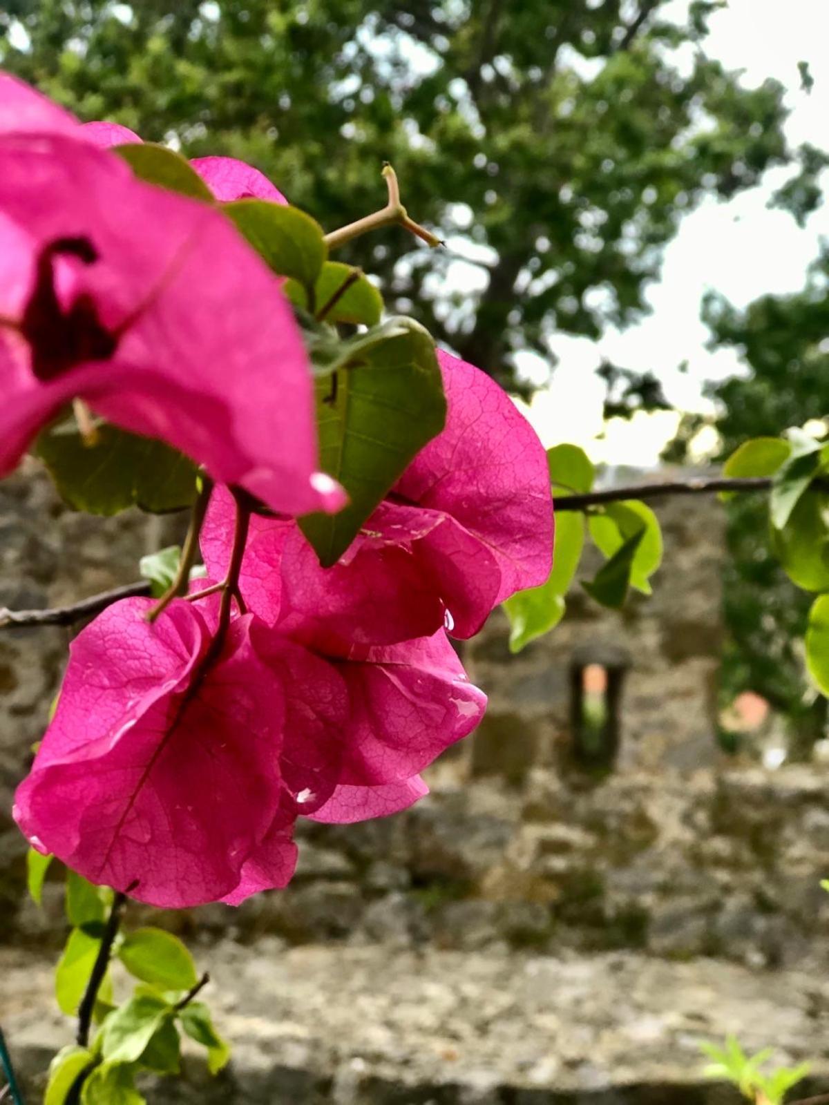 Sideroporta Castle Nafpaktos Pension Buitenkant foto